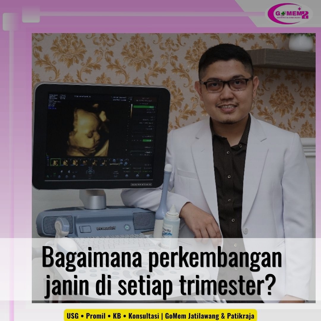 Bagaimana perkembangan janin di setiap trimester?