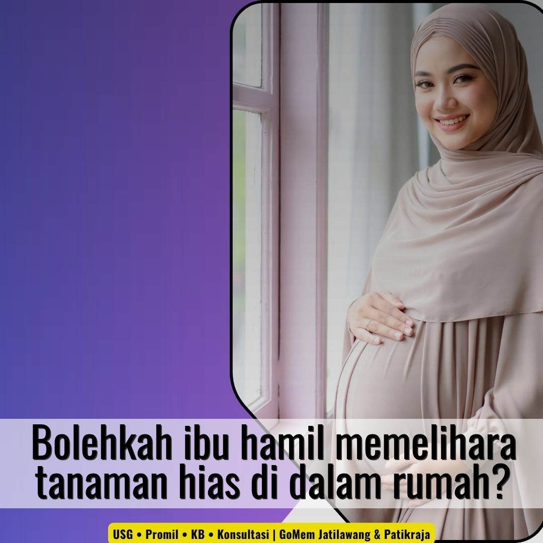 Bolehkah ibu hamil memelihara tanaman hias di dalam rumah?
